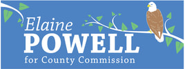 ELAINE POWELL FOR MECKLENBURG COUNTY COMMISSIONER DISTRICT 1